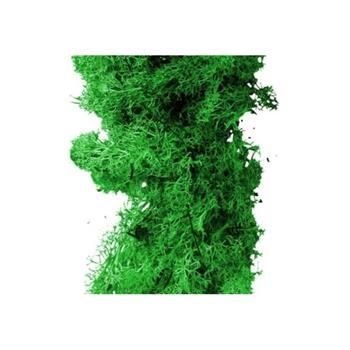 Mech preparovaný sv.zelený 20g