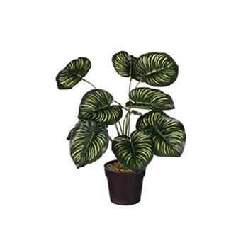 Calathea hrnková umělá krémovo-zelená 40cm