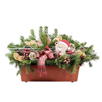 Přírodní Vánoce - Truhlík 50cm