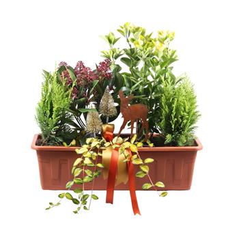 Zimní truhlík s rostlinami 50cm