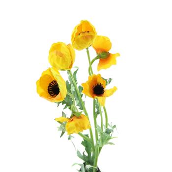 Vlčí mák řezaný umělý žlutý 61cm