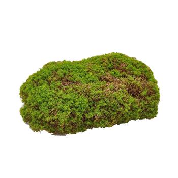 Mech umělý zelený 30cm