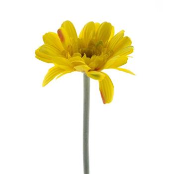 Gerbera MINAKO řezaná umělá žlutá 47cm