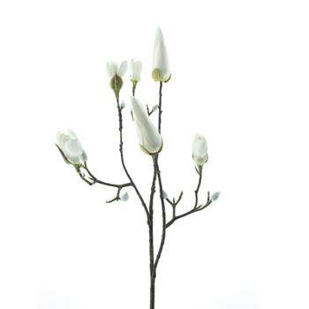 Magnolie KOBE větev s poupaty krémová 65cm