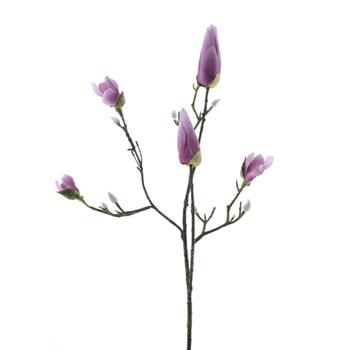 Magnolie KOBE větev s poupaty vínová 65cm