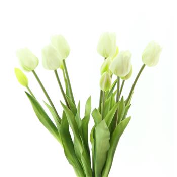 Tulipán SALLY ve svazku umělý krémový 12ks