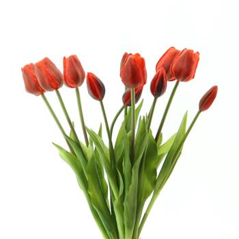 Tulipán SALLY ve svazku umělý červený 12ks