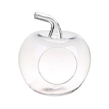 Aerárium skleněné jablko 21cm