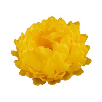 Slaměnka voskový květ žlutý 6cm