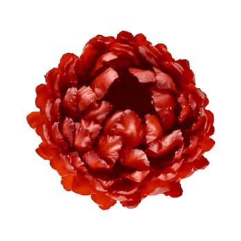 Slaměnka voskový květ bordó 6cm