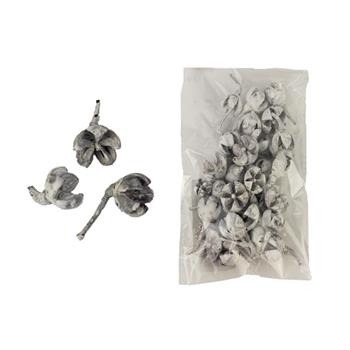 Přízdoba sušené plody 30g