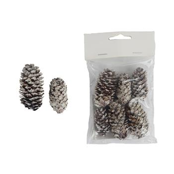 Šiška smrková zasněžená  bílo-hnědá 6ks