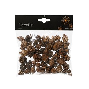 Šišky modřínové v sáčku přírodní 40g