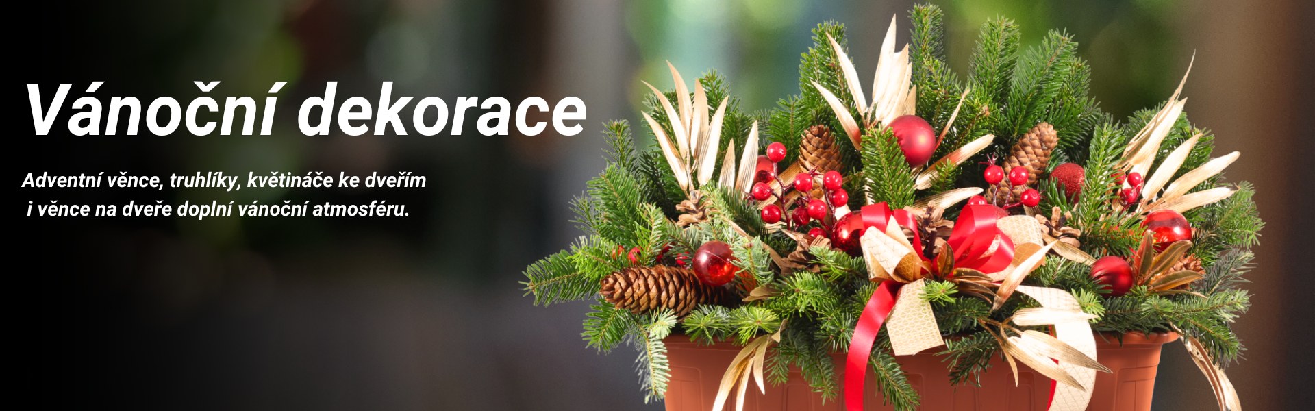 Vánoční truhlíky