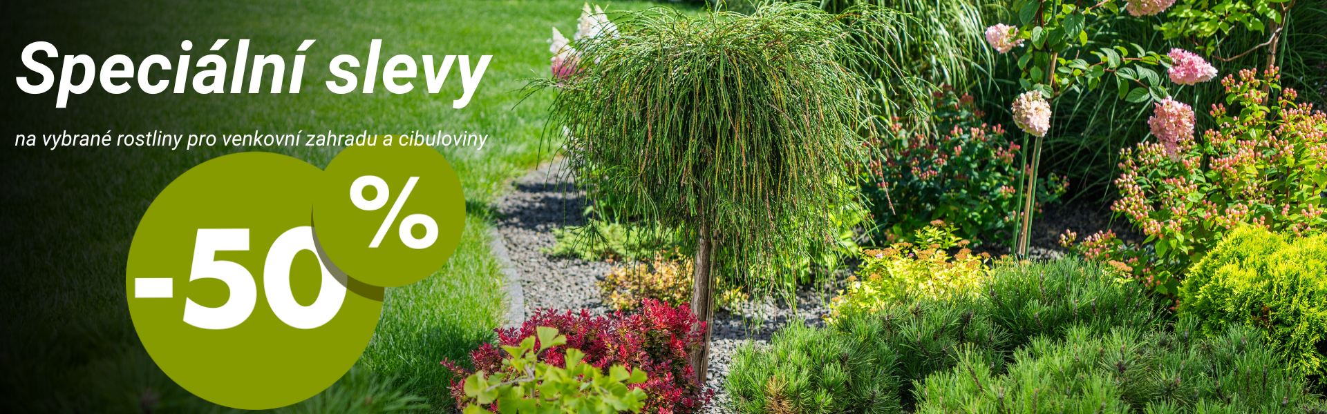 Podzimní výprodej rostlin