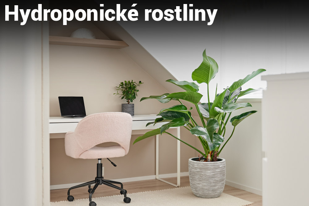 Ekologicky pěstované hydroponické rostliny