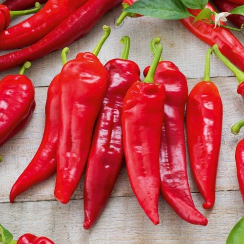 Paprika Lipari neroubovaná 