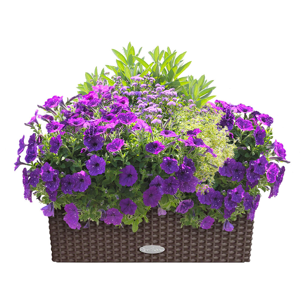 Večerní nebe Lechuza antracitová 50cm
