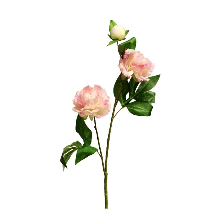 Levně Pivoňka PRINCESS řezaná umělá se 3 květy růžová 67cm
